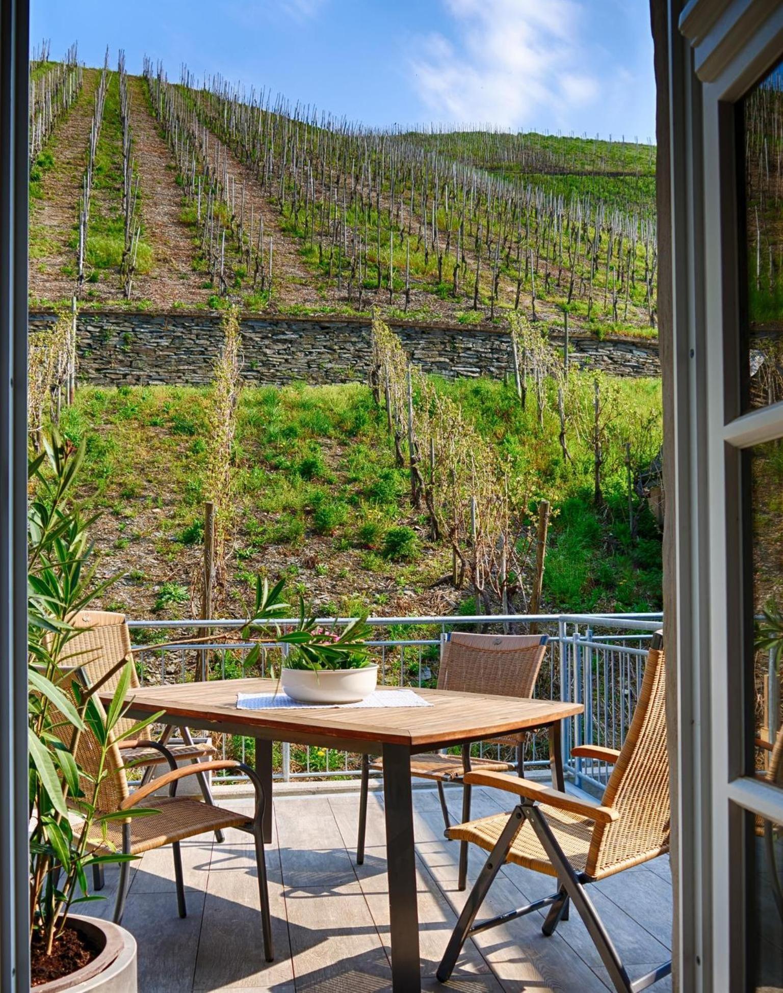 Altes Loerscher Winzerhaus Mehring  Luaran gambar