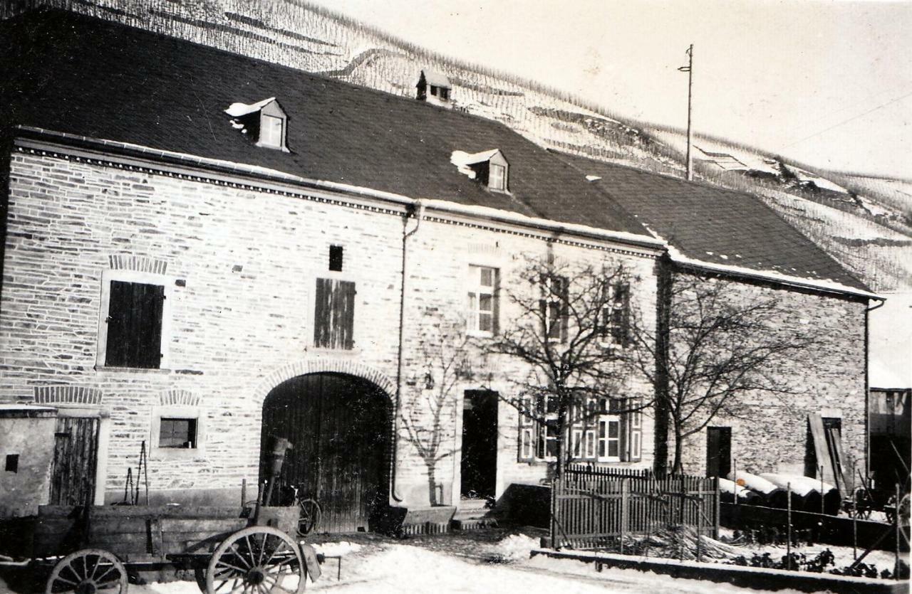 Altes Loerscher Winzerhaus Mehring  Luaran gambar